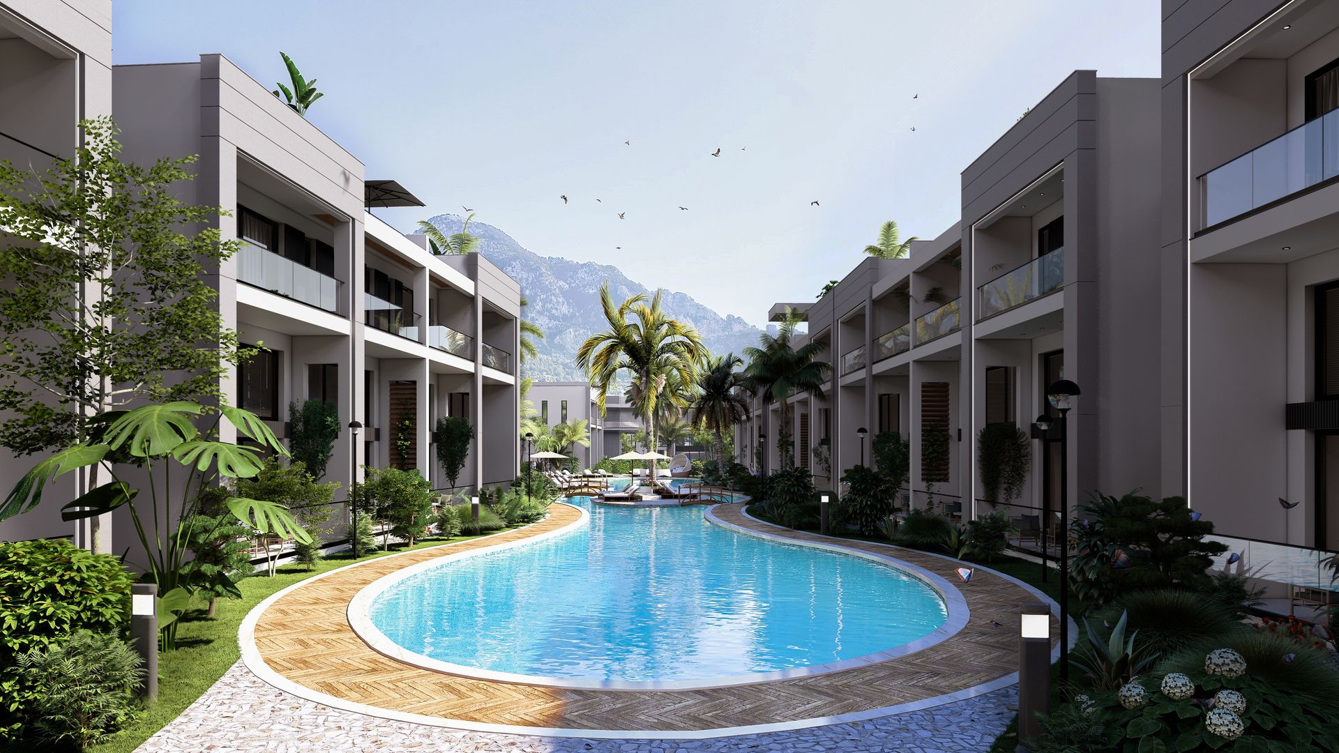 Palmera