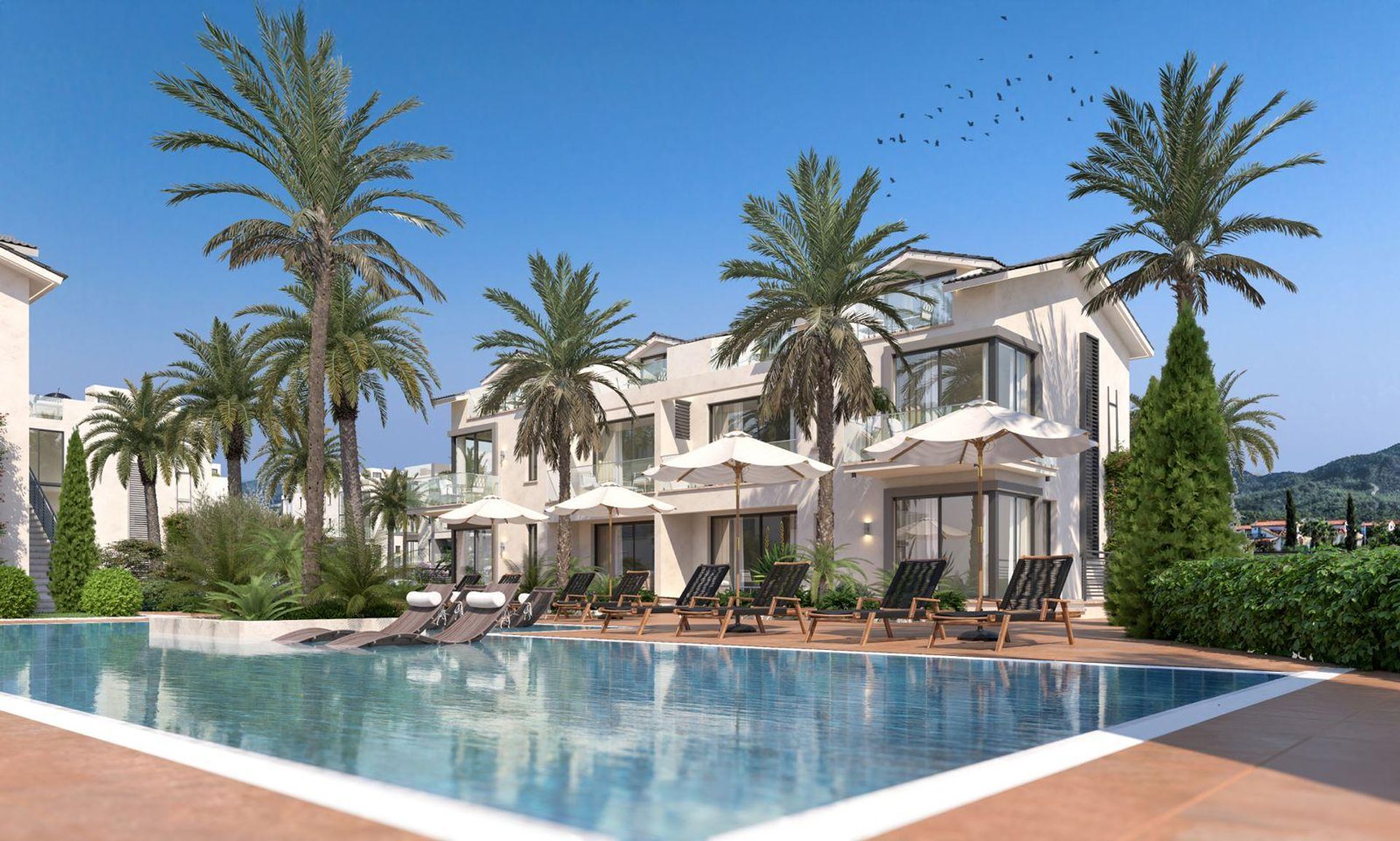 Malibu Phase 6